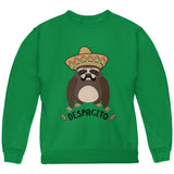 Despacito Means Slowly Funny Sloth Pun Youth Sweatshirt