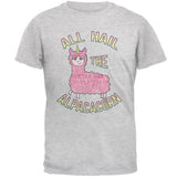All Hail the Alpacacorn Mens T Shirt