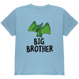 Big Brother Dino Dinosaur Pterodactyl Youth T Shirt