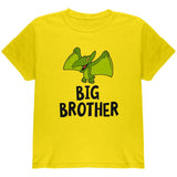 Big Brother Dino Dinosaur Pterodactyl Youth T Shirt