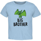 Big Brother Dino Dinosaur Pterodactyl Toddler T Shirt
