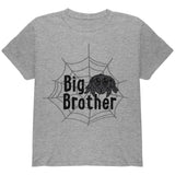 Big Brother Cute Spider Youth T Shirt