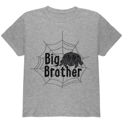 Big Brother Cute Spider Youth T Shirt