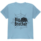 Big Brother Cute Spider Youth T Shirt