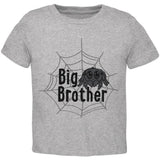 Big Brother Cute Spider Toddler T Shirt