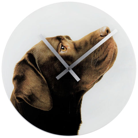 Crazy Dogs Choco Lab Wall Clock