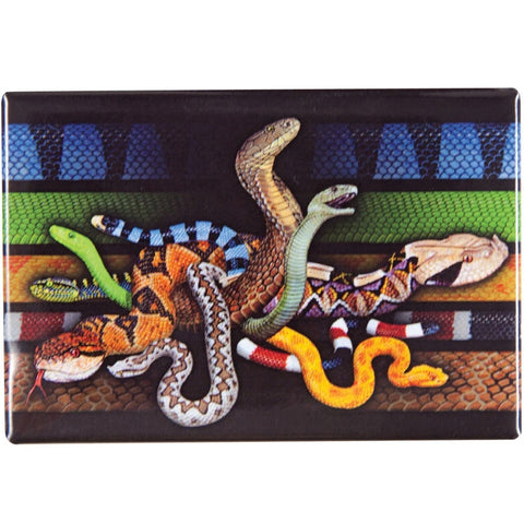 Venomous Snakes Refrigerator Magnet