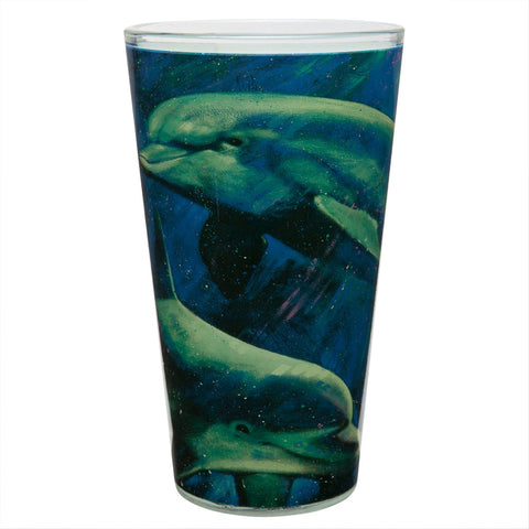 Stephen Fishwick Dolphin Pint Glass