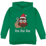 Christmas Hoo Hoo Hoo Owl Green Toddler Hoodie